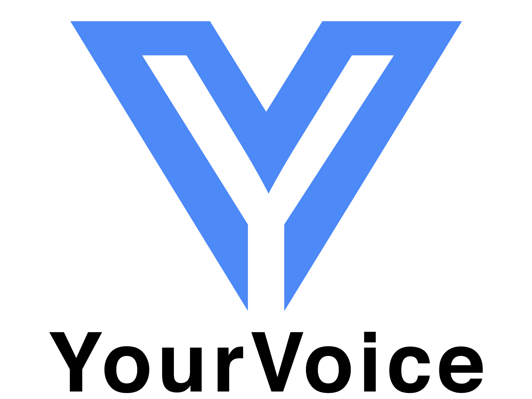 Your Voice Partner